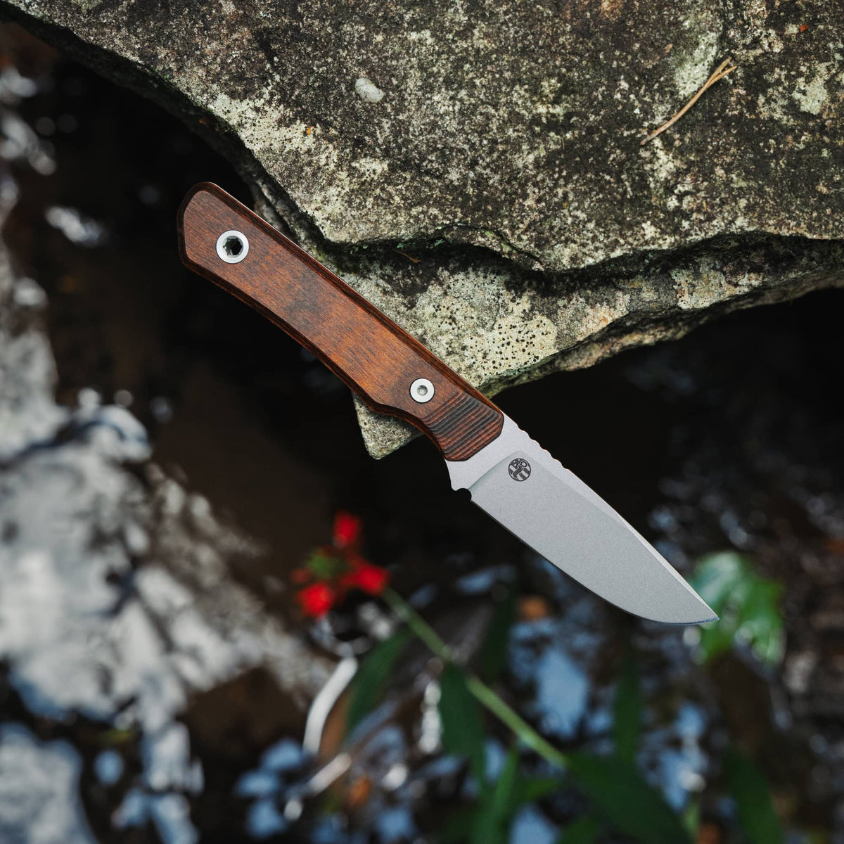 USA Cloudland Fixed Blade | Dymalux Walnut
