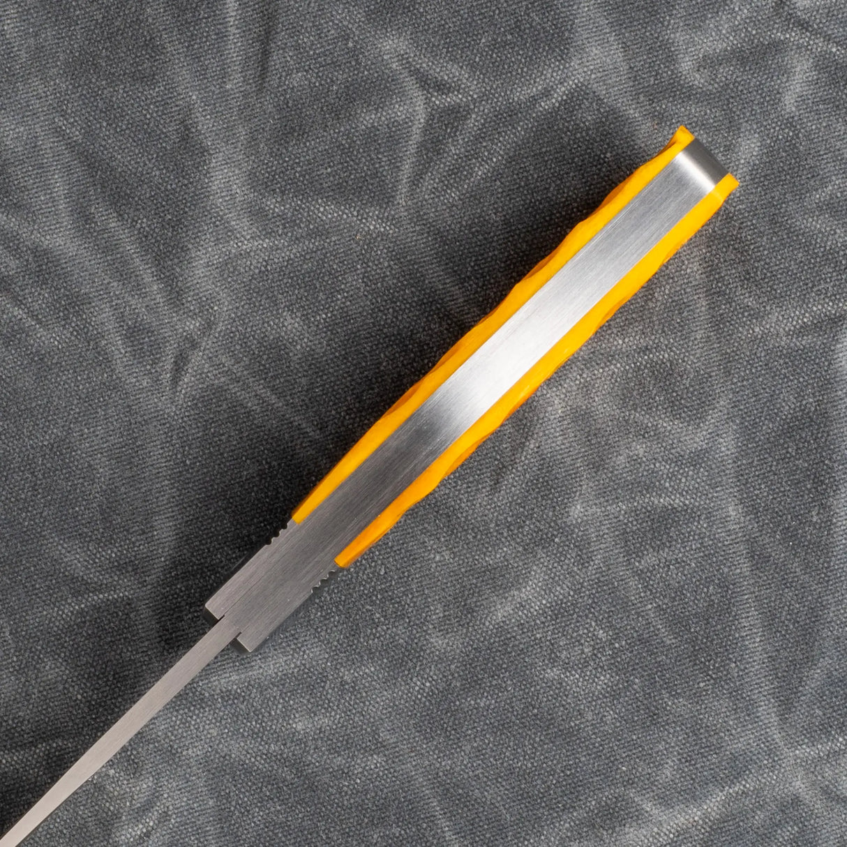 K9 Jack - Yellow Jigged Bone | Steel Series