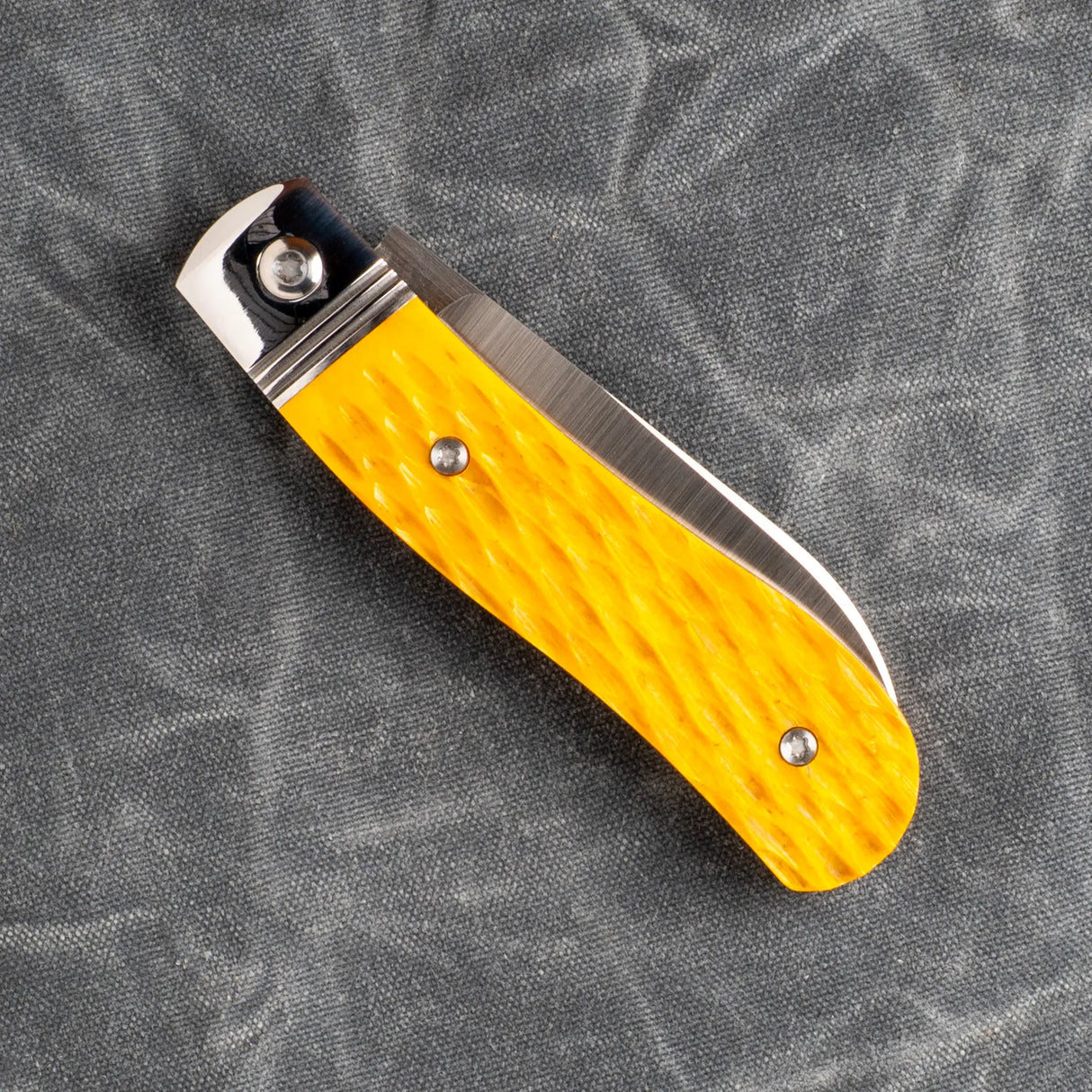 K9 Jack - Yellow Jigged Bone | Steel Series