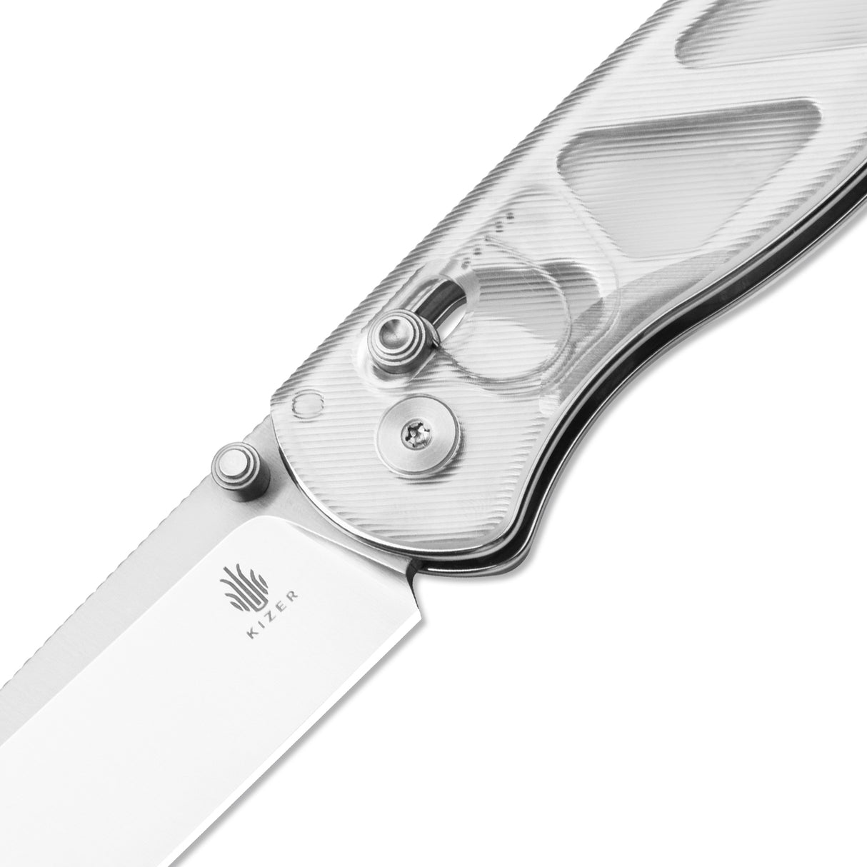 Drop Bear | Acrylic + Satin Nitro-V