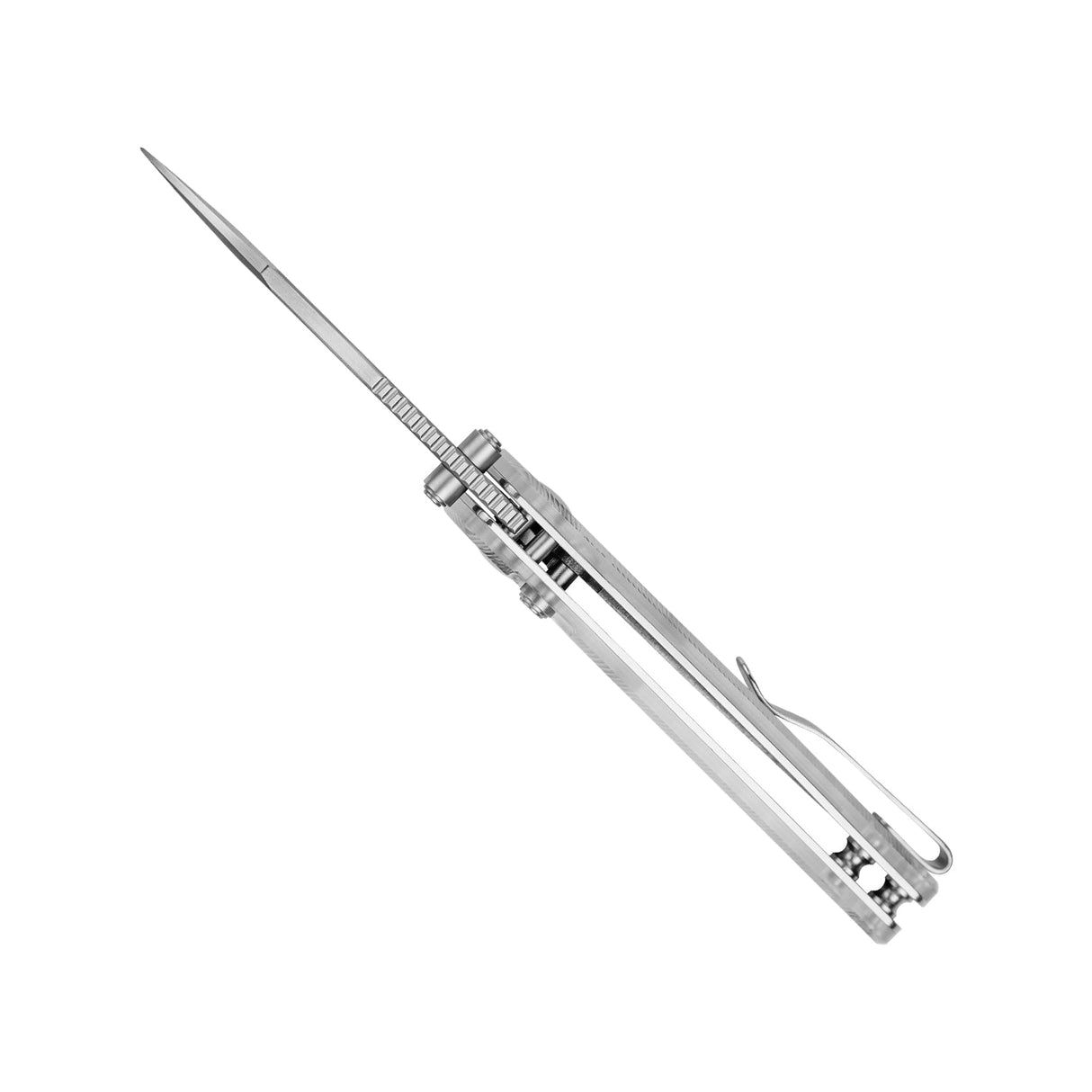 Parakeet | Sheepsfoot Nitro-V + Acrylic