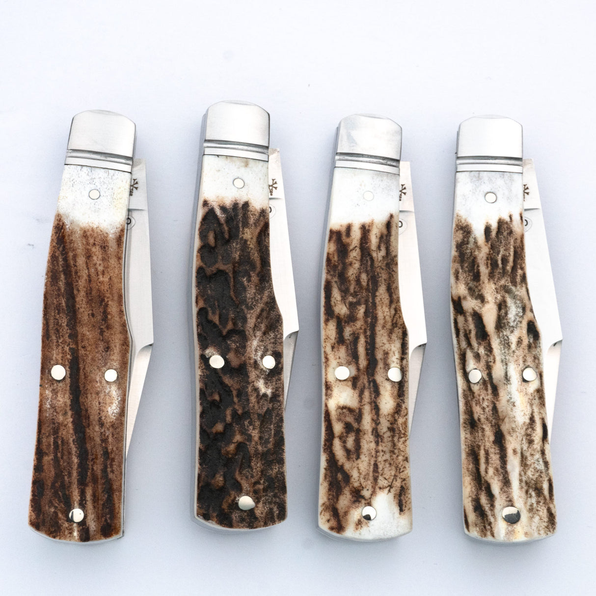 Savage Creek Gunstock Stag Slipjoint - RCT014-ST