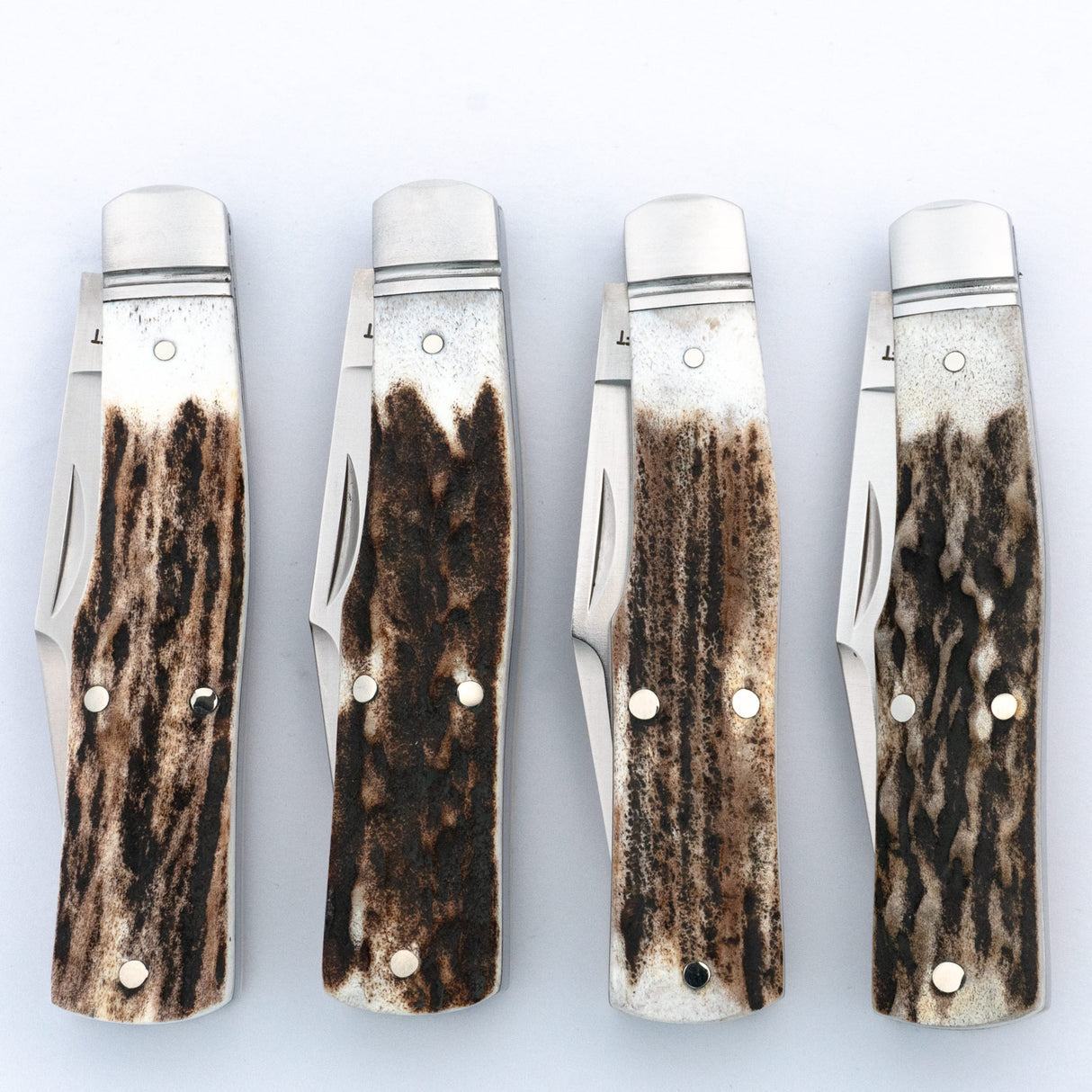 Savage Creek Gunstock Stag Slipjoint - RCT014-ST