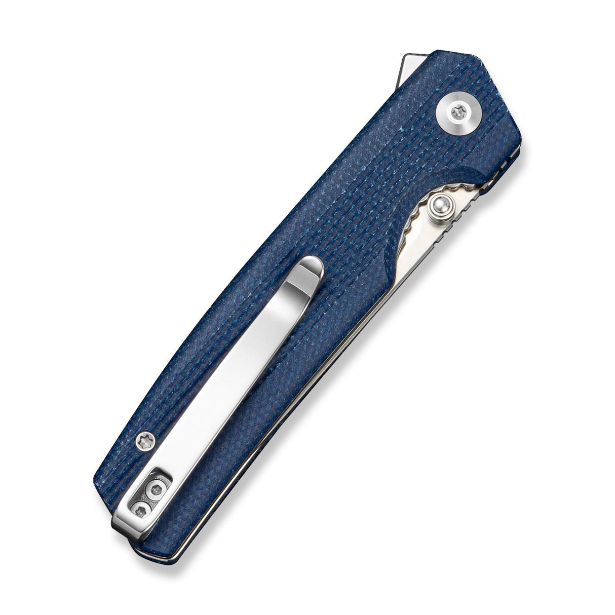 Stria | Blue Micarta + Satin D2