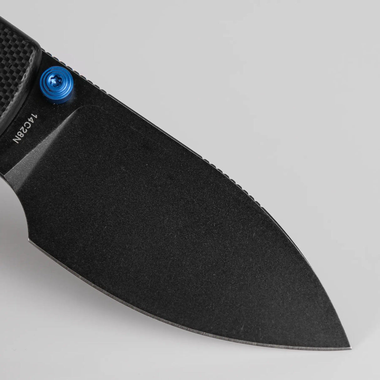 Raccoon Cub | Black G10 + Blackwash 14C28N - A3601