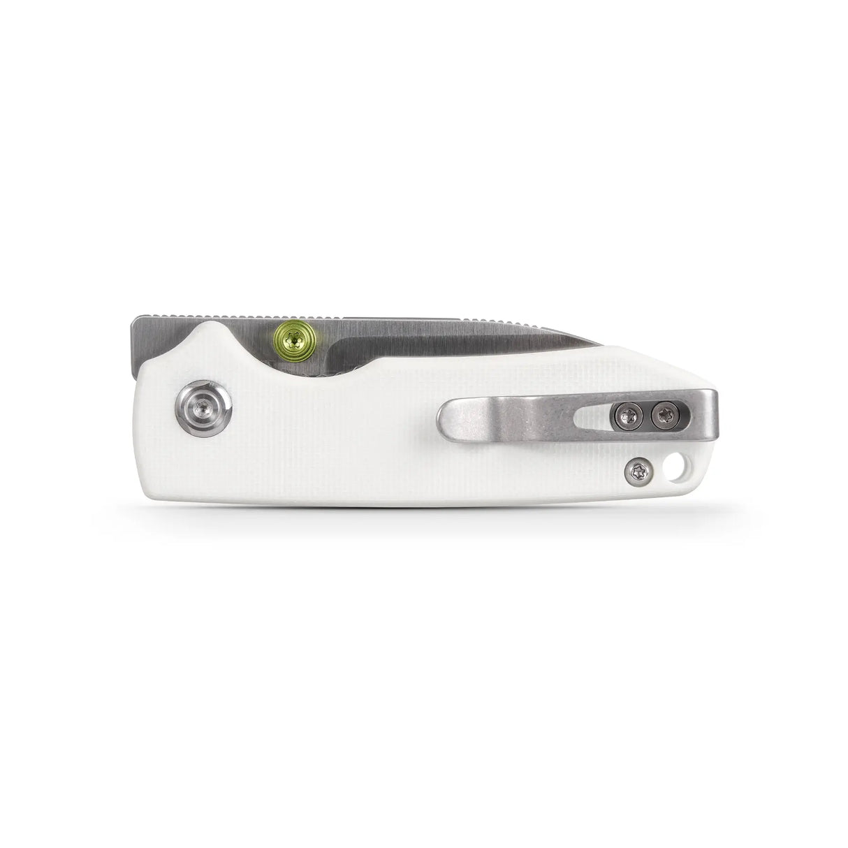 Raccoon Cub | White G10 + Satin 14C28N - A3603