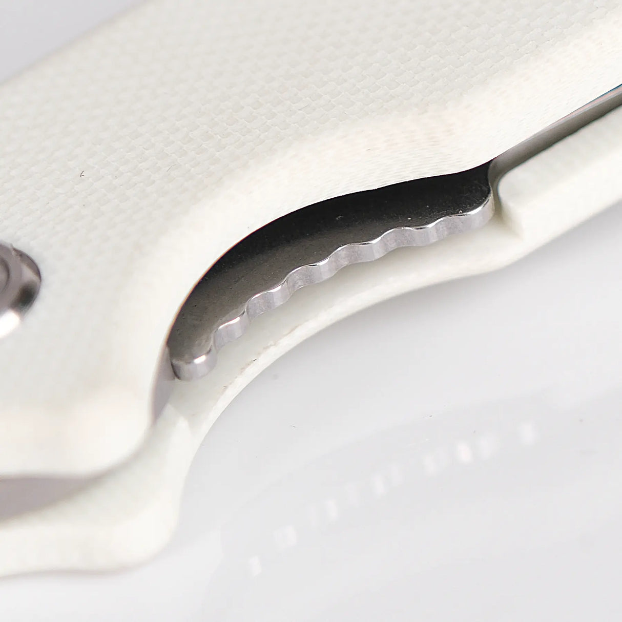 Raccoon Cub | White G10 + Satin 14C28N - A3603