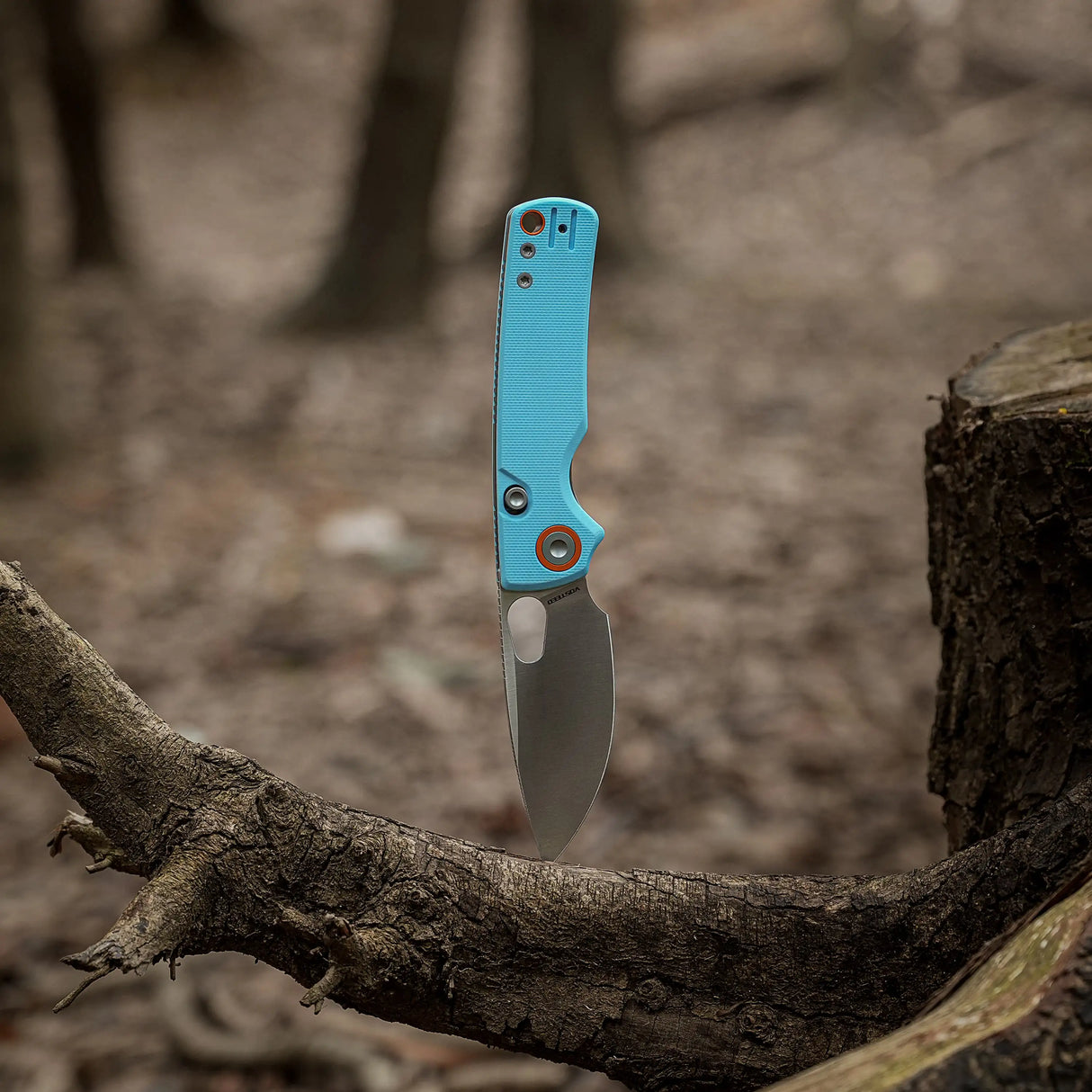 Porcupine | Sky Blue G10 + Satin 14C28N - A2608