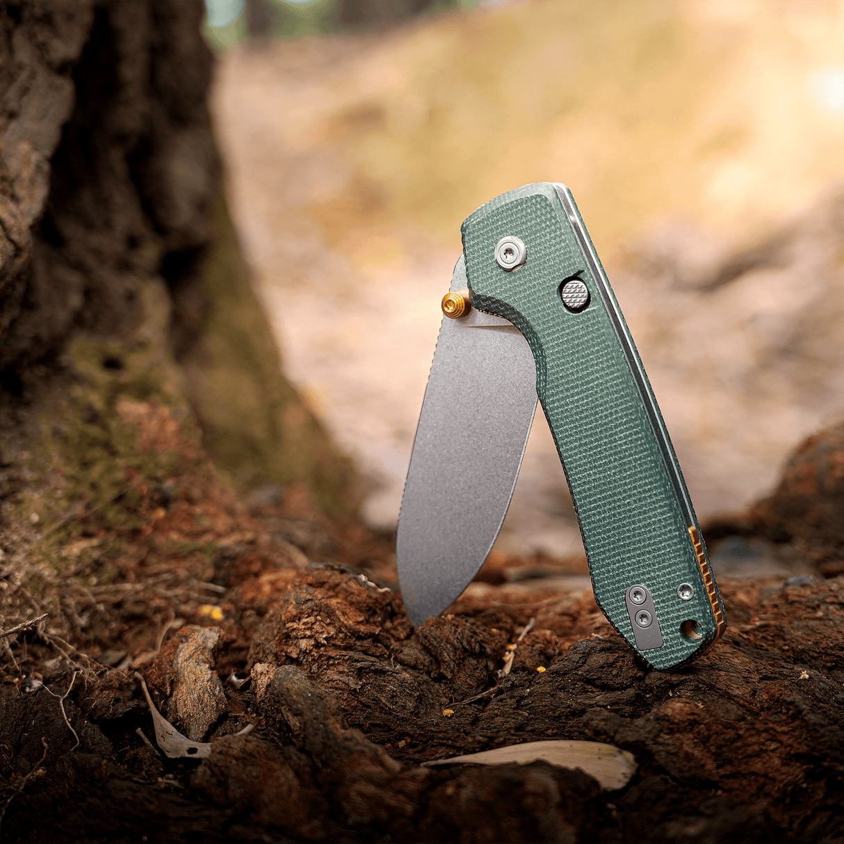 Raccoon 2.0 - Top Liner Lock | Green Micarta + 14C28N Drop Point - A2904