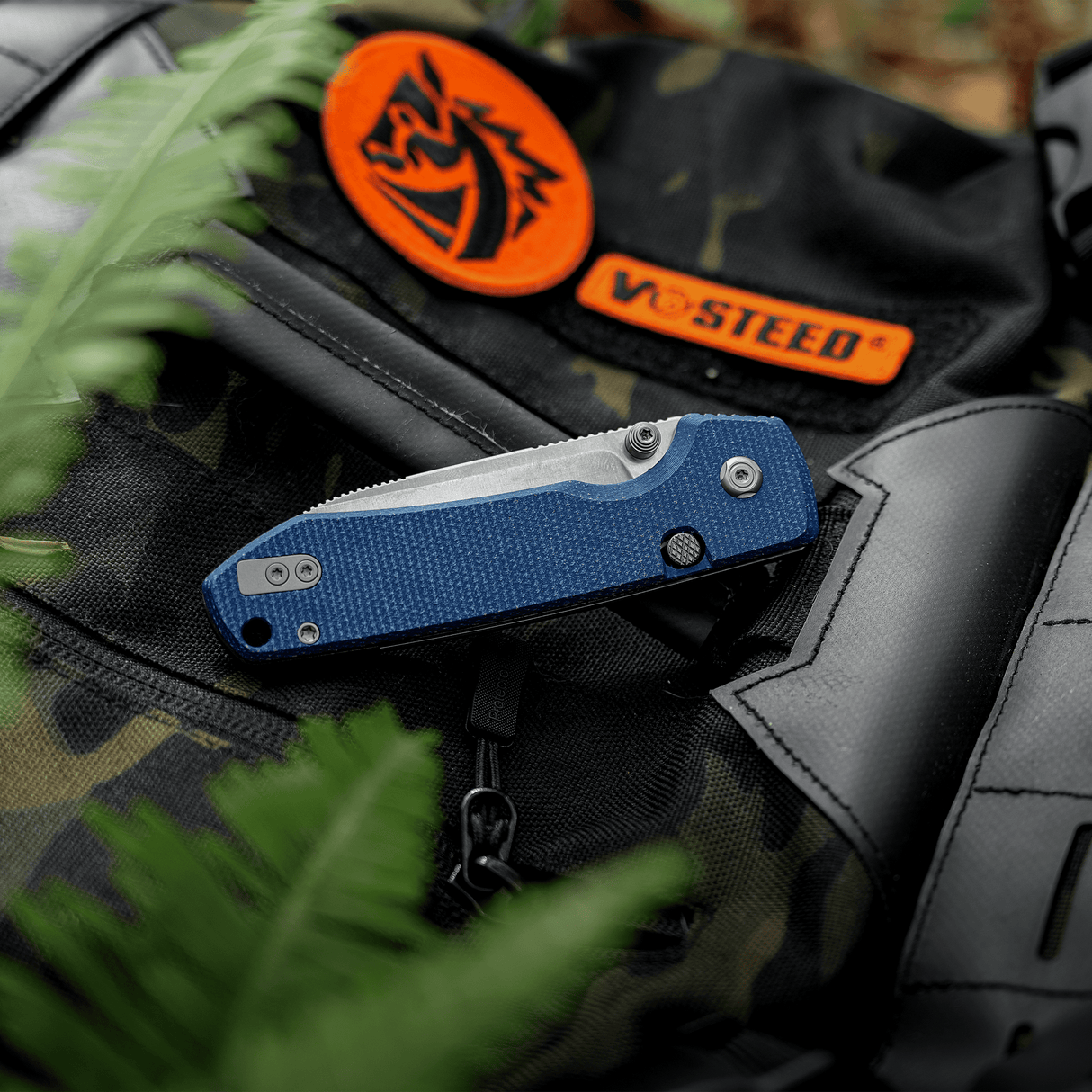Raccoon 2.0 - Top Liner Lock | Blue Micarta + 14C28N Drop Point - A2905