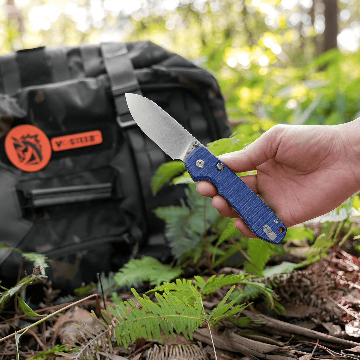 Raccoon 2.0 - Top Liner Lock | Blue Micarta + 14C28N Drop Point - A2905