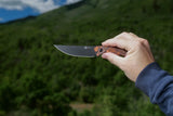 Carveth | Orange & Black G10 + Blackwash AEB-L
