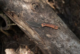 Carveth | Guibourtia Wood + Blackwash AEB-L