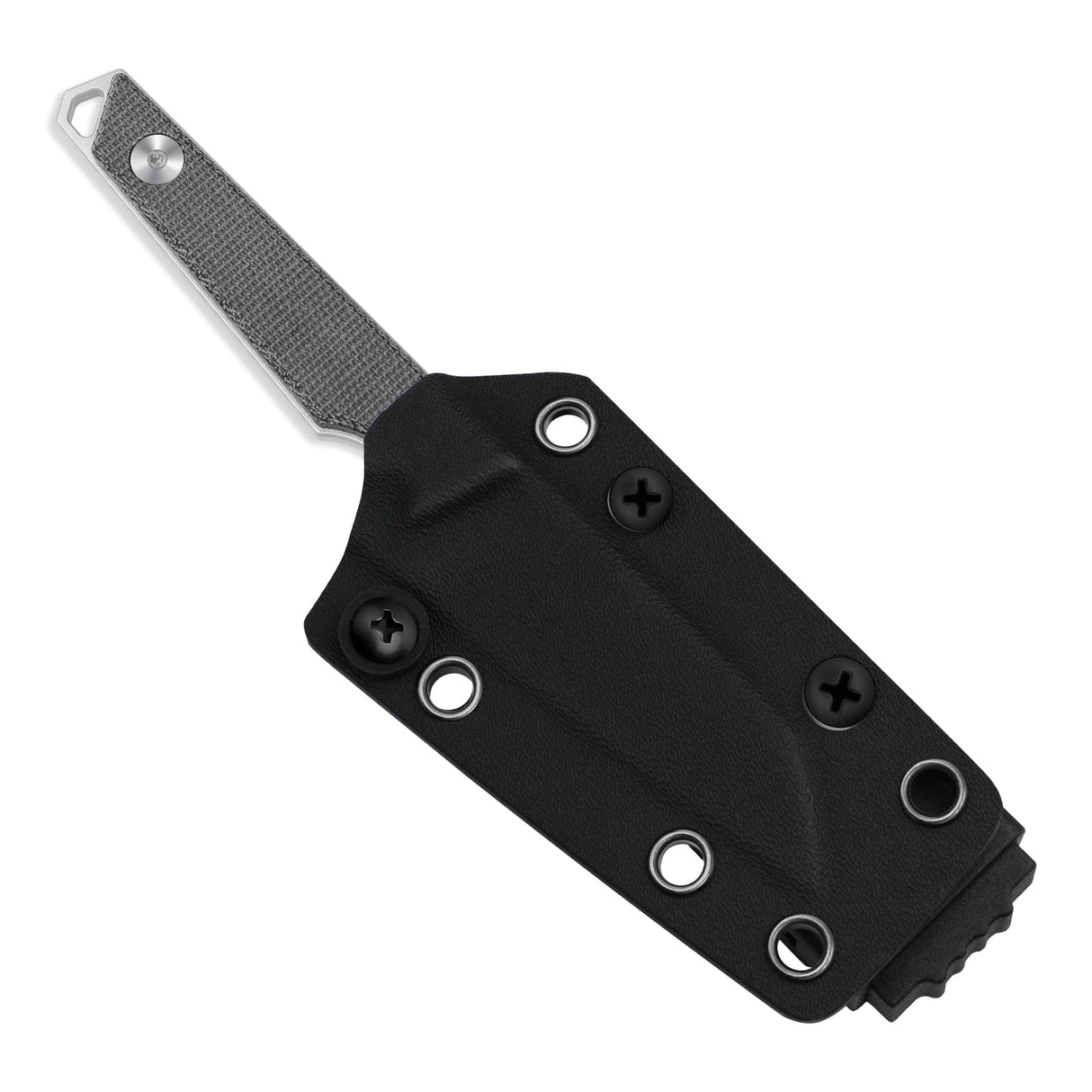 Phasmids | Black Micarta + AEB-L
