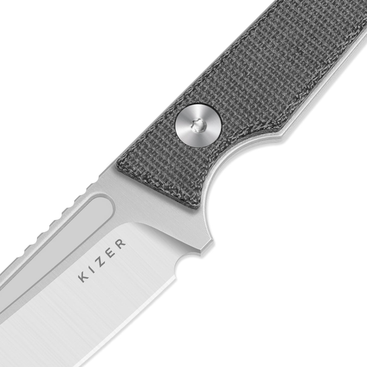 Phasmids | Black Micarta + AEB-L