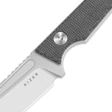 Phasmids | Black Micarta + AEB-L