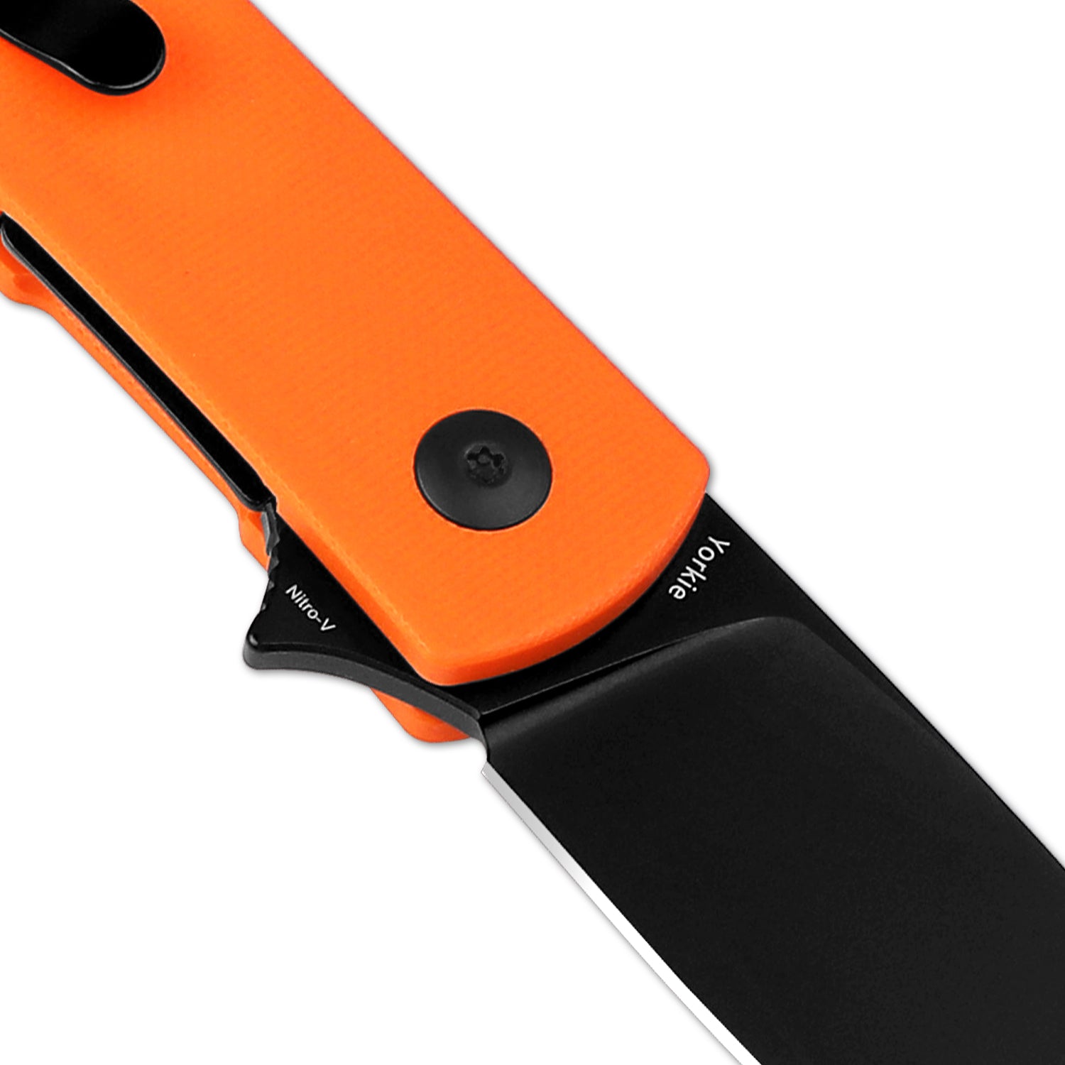 Kizer Yorkie Nitro-V | Ray Laconico EDC Pocket Knife | Fast free