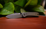 Lander 1 - Steel | Blackwash D2