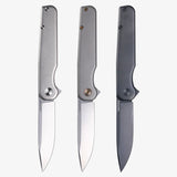 Rockwall Flipper