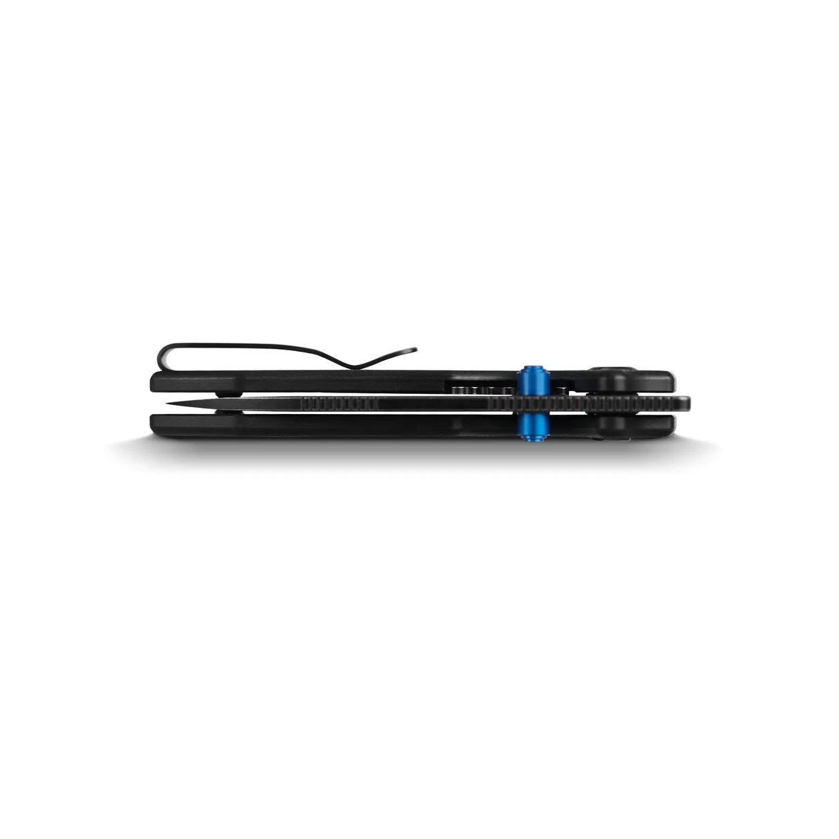 Raccoon Cub | Black G10 + Blackwash 14C28N - A3601
