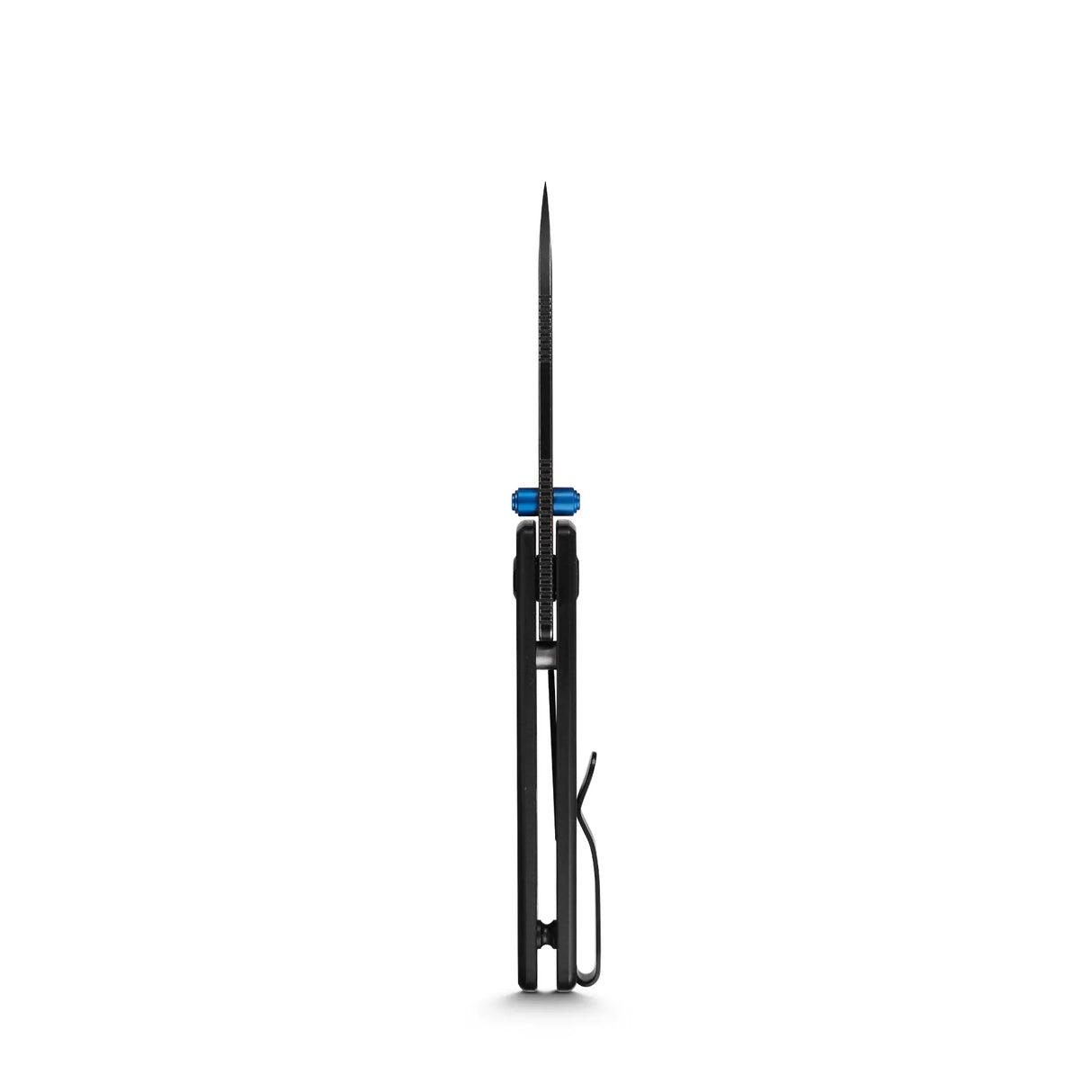 Raccoon Cub | Black G10 + Blackwash 14C28N - A3601