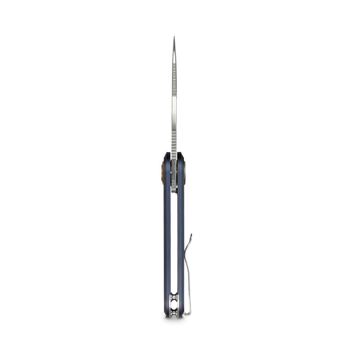 Corgi® V V | Dark Slate Blue Auminium + Satin 154CM - A5103