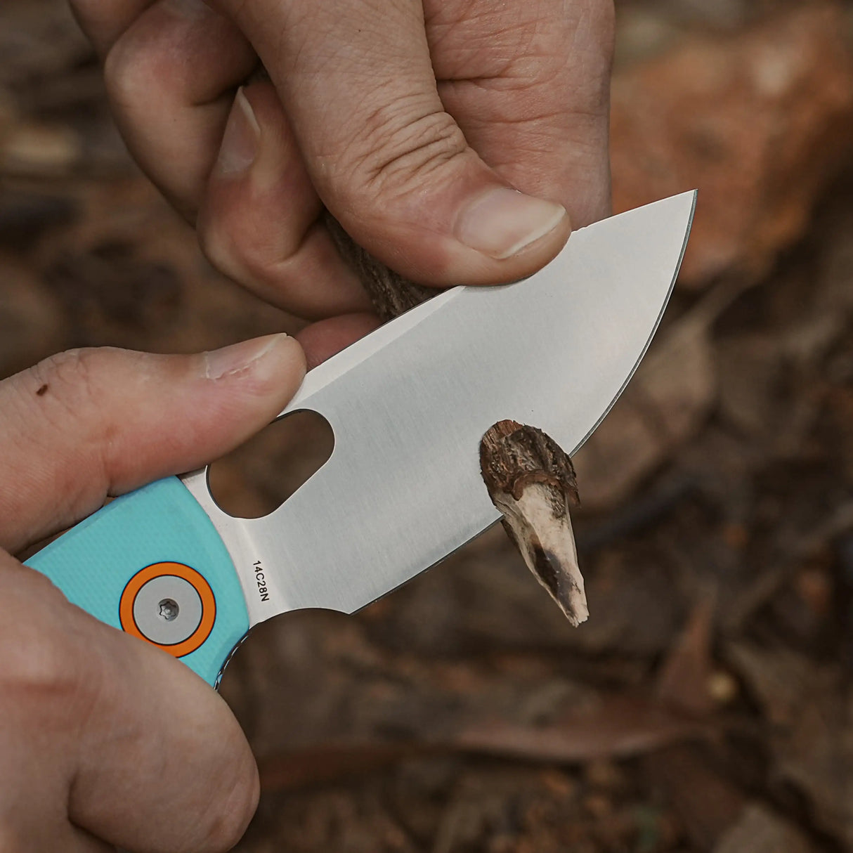 Porcupine | Sky Blue G10 + Satin 14C28N - A2608