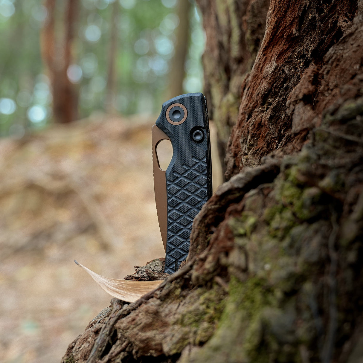 Porcupine | Black Crosshatch G10 + Copper Dune 14C28N - A2622