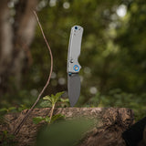 Porcupine Thumb Stud | Grey G10 + Destroyer Grey 14C28N - A2612