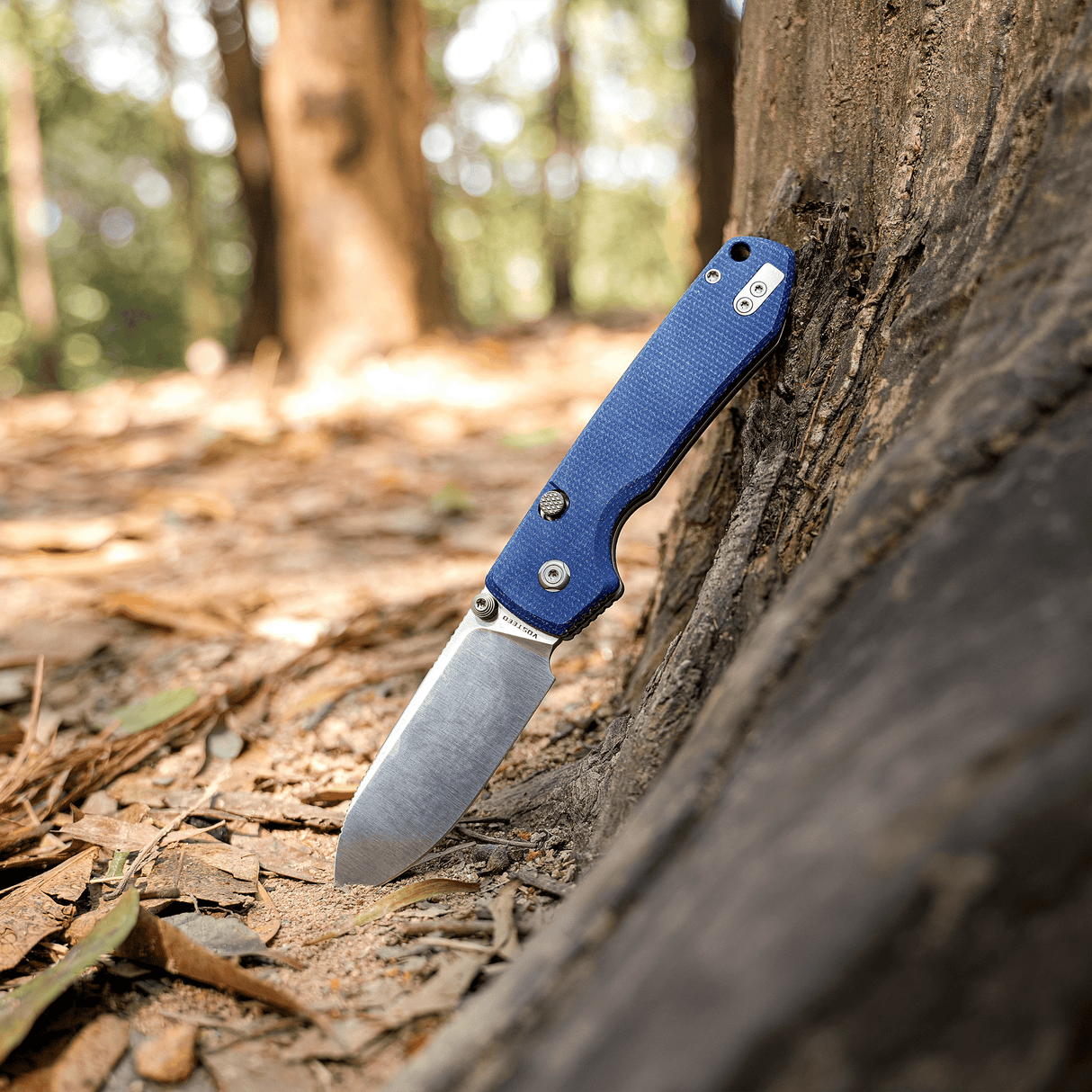 Raccoon 2.0 - Top Liner Lock | Blue Micarta + 14C28N Drop Point - A2905