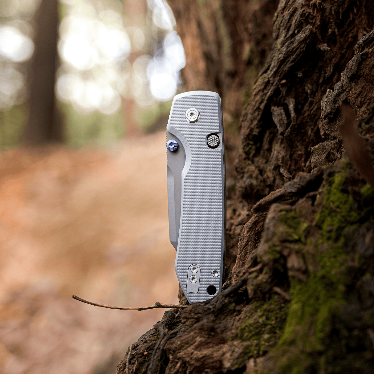 Raccoon  2.0- Top Liner Lock | Grey G10 + Destroyer Grey 14C28N Bowie - A2918
