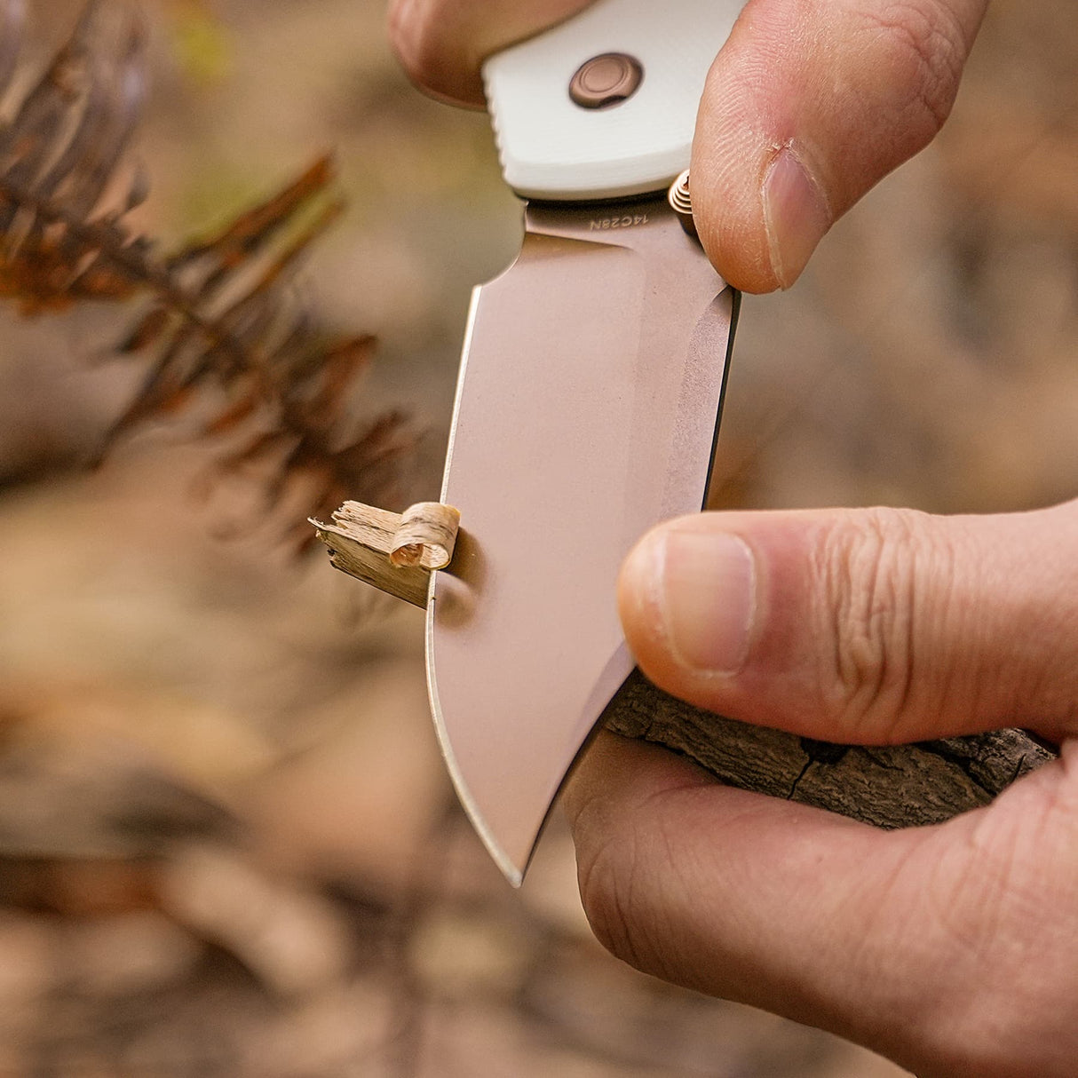 Raccoon 2.0 - Top Liner Lock | White G10 + 14C28N Bowie - A2925