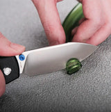 Raccoon - Top Liner Lock | Black Micarta + 14C28N Drop Point - A2903